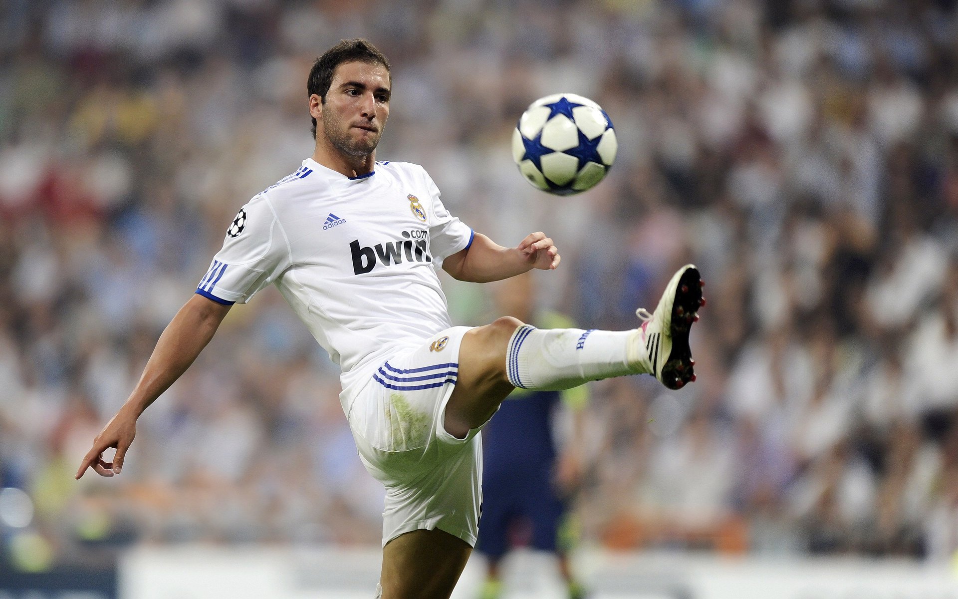 莱斯特城逆转三连胜，郑智神勇发挥，赛季表现令人惊艳，莱斯特城夺冠之路